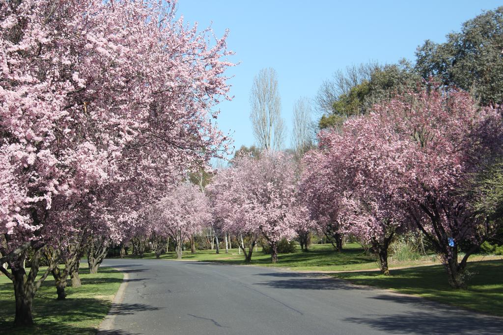 Kelso NSW Accommodation Asia