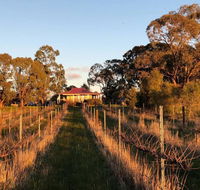 Lillicur Vineyard BB - Accommodation Asia