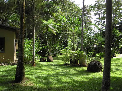 Lync Haven Rainforest Retreat - Accommodation Guide 3