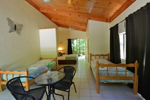 Lync Haven Rainforest Retreat - Accommodation Guide 2