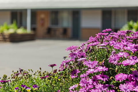 Maffra Motor Inn - Accommodation Asia 2