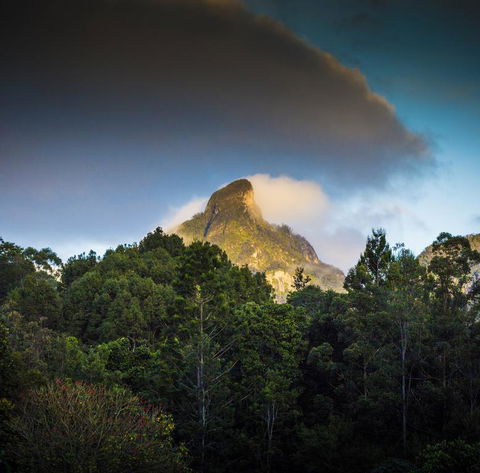 Mavis's Cabins @ Mt Warning - Accommodation Asia 1