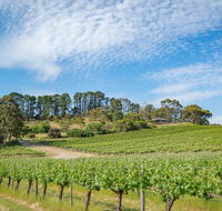 McLaren Vale Getaways - Accommodation Asia