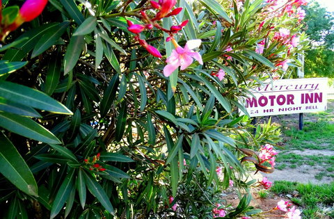 Mercury Motor Inn - Accommodation Asia 0