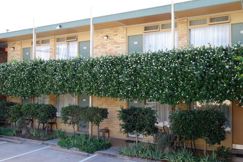 Mid City Motor Inn Queanbeyan - Accommodation China 1