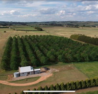 Millthorpe Truffles - Gorgeous getaway for 2 - Accommodation China