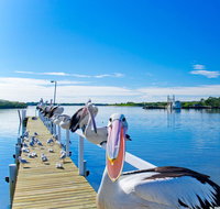 Moby Dick Waterfront Resort Motel - Accommodation Guide