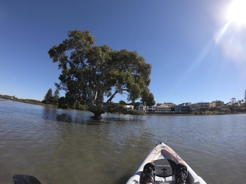 Moreton Bay Beach Lodge - Accommodation Asia 1