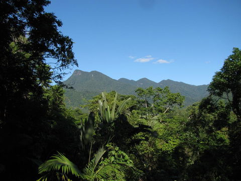 Mossman Gorge Bed And Breakfast - Accommodation Asia 0