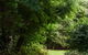 Mountain Sojourn - thumb 3