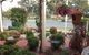 Murray River Motel - thumb 2