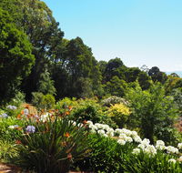 Murrindindi - Accommodation Asia