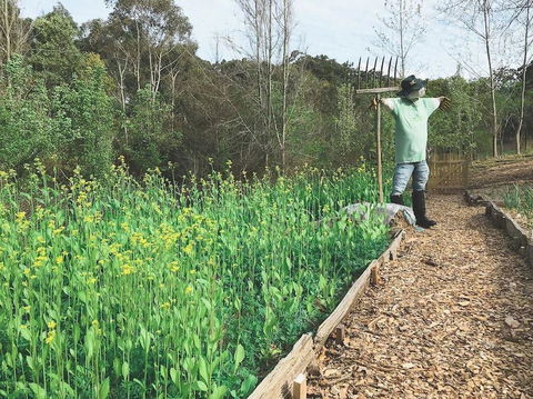 Mylor Farm, Adelaide Hills - Accommodation Guide 1