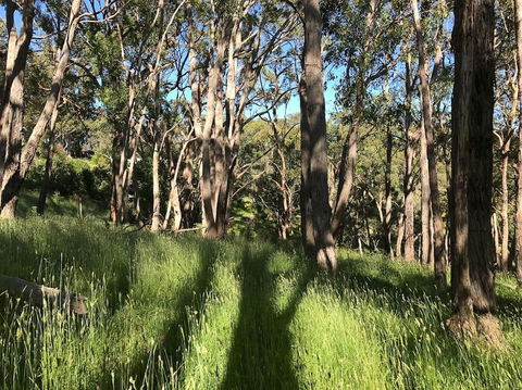 Mylor Farm, Adelaide Hills - Accommodation Guide 0