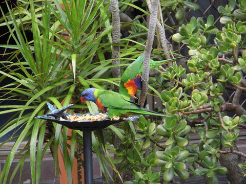 Nanango Fitzroy Motel - Accommodation Asia 2