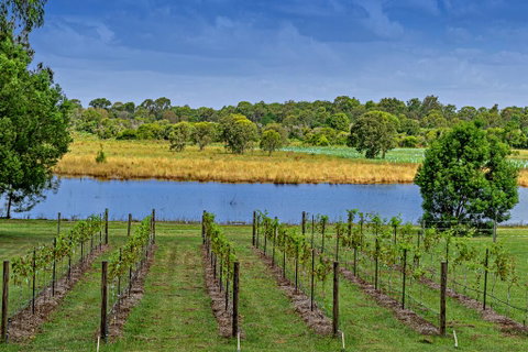 Narangba Motel (formerly Brisbane North B&B And Winery) - Accommodation Guide 3