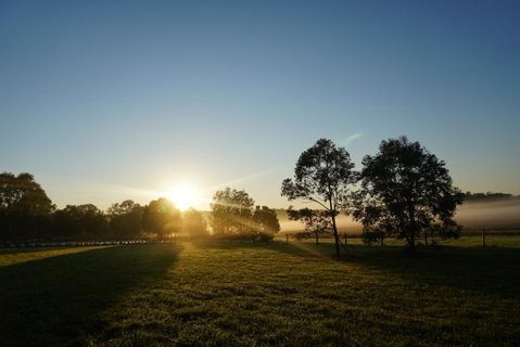 Narangba Motel (formerly Brisbane North B&B And Winery) - Accommodation Guide 2