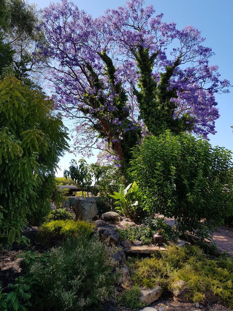 Jacaranda Hideaway Bed & Breakfast - Accommodation Guide 10