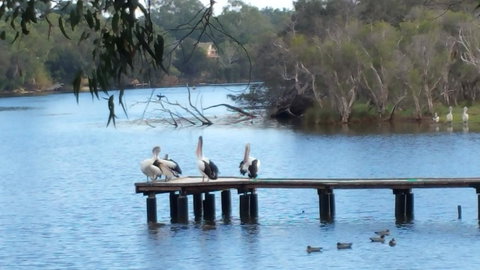 Jacaranda Hideaway Bed & Breakfast - Accommodation Guide 18