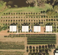 Swan Valley Sisters - Accommodation Asia