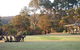 Riverside Retreat Chalets, Walpole - thumb 0