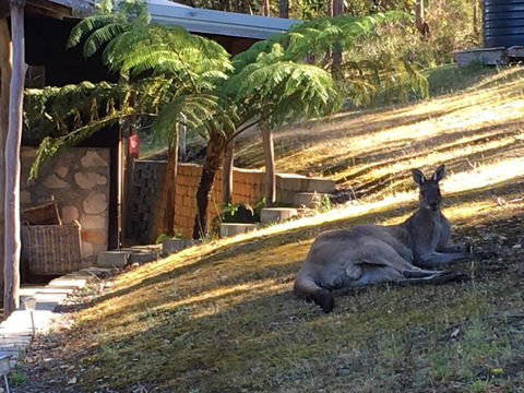 Kangaroo Valley Cottage - Accommodation Asia 3