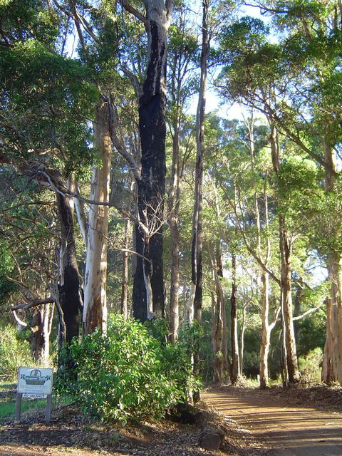Kangaroo Valley Cottage - Accommodation Asia 21