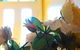 The Blacksmiths Cottage - thumb 16