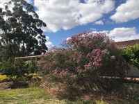 Book Cockburn Central Accommodation Vacations Accommodation Guide Accommodation Guide