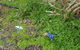 Abbivale Farm Cottage - thumb 17
