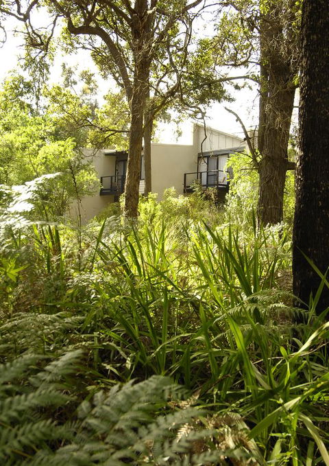 Margarets Forest - Accommodation Asia 41