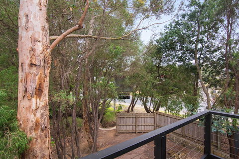Margarets Forest - Accommodation Asia 12