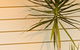 The Billi Resort - thumb 44