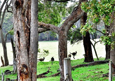 For The Birds Yallingup - Accommodation Asia 22