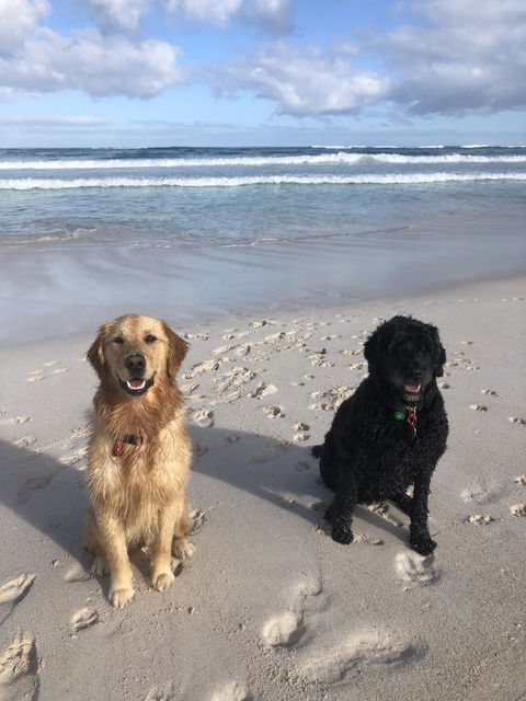 The Bothy Lancelin Family Retreat - Accommodation Asia 32