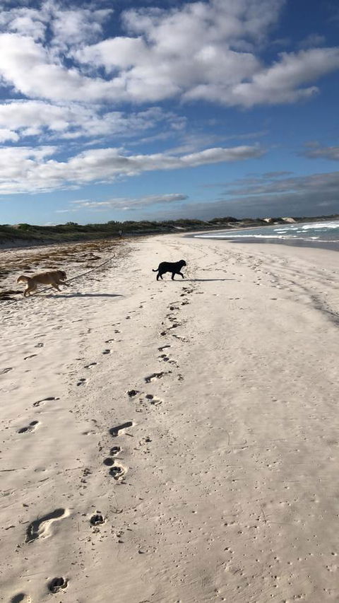 The Bothy Lancelin Family Retreat - Accommodation Asia 30