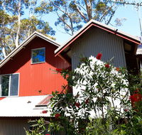 Pelicans at Denmark - Accommodation Asia