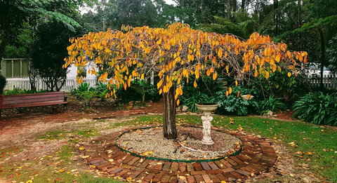 Adamsons Riverside Accommodation - Accommodation China 22