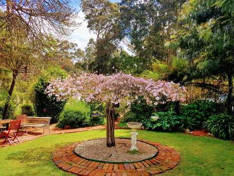 Adamsons Riverside Accommodation - Accommodation China 25