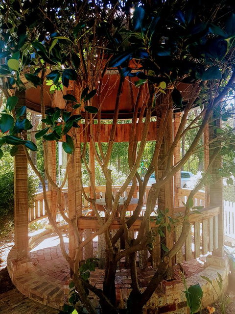 Adamsons Riverside Accommodation - Accommodation China 1