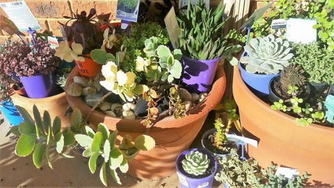 Quest Yelverton Kalgoorlie - Accommodation Guide 11