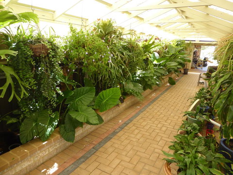 Jennys Retreat - Accommodation Asia 3