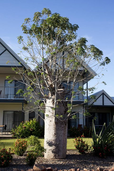 Freshwater East Kimberley Apartments - Accommodation Asia 18