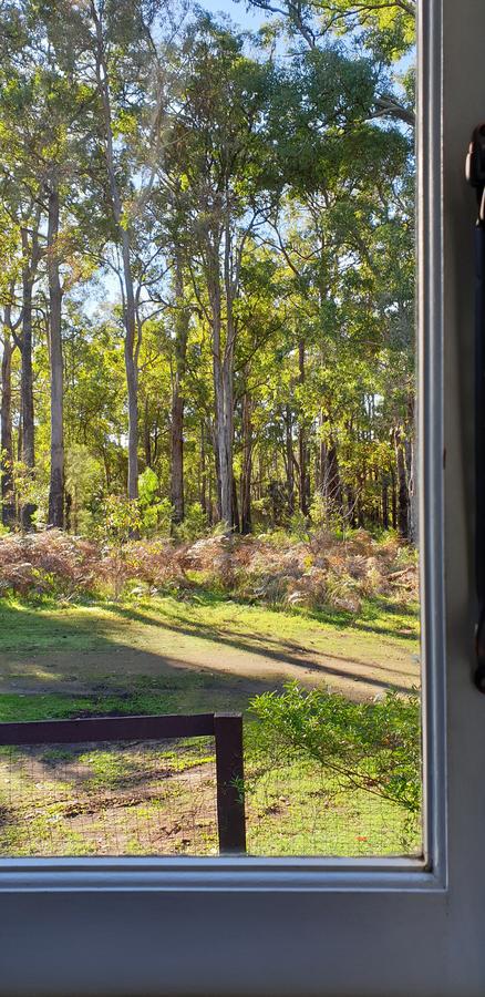 Di's Cabin In Dwellingup - Accommodation Guide 2