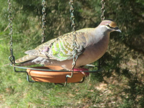 Di's Cabin In Dwellingup - Accommodation Guide 25