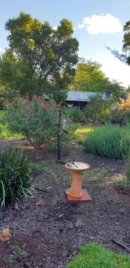 Di's Cabin In Dwellingup - Accommodation Guide 14