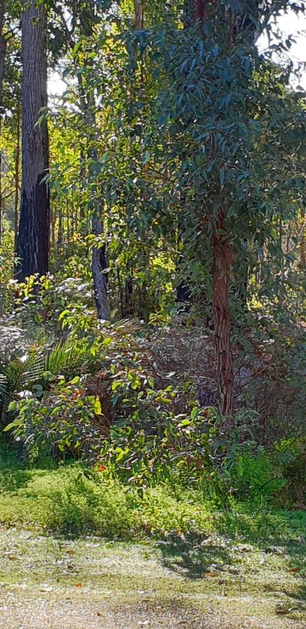 Di's Cabin In Dwellingup - Accommodation Guide 8