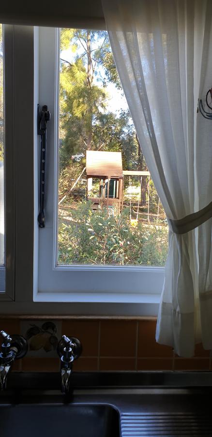 Di's Cabin In Dwellingup - Accommodation Guide 15