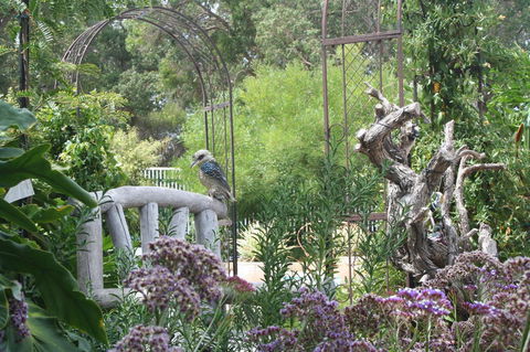Rosebridge House Bed & Breakfast Adult Retreat - Accommodation China 12