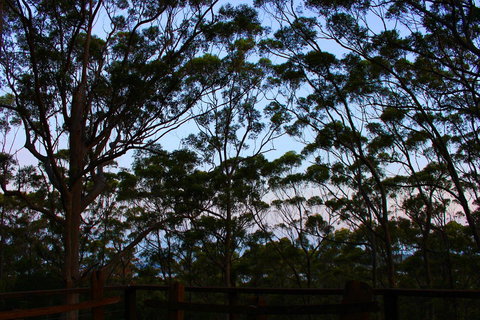 Ark Of Denmark - Accommodation China 27